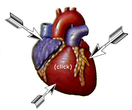 ���� ����� �� ����� ������ �����